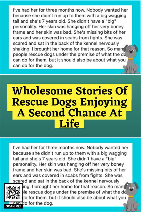 Wholesome stories of rescue dogs enjoying a second chance at life – Artofit