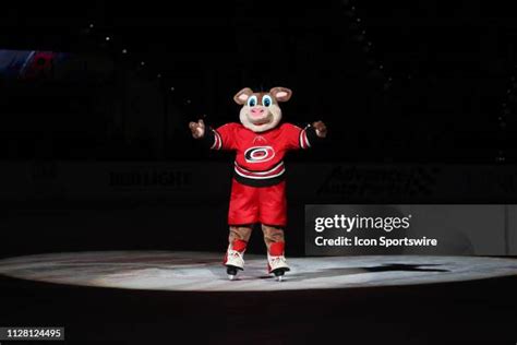 Carolina Hurricanes Mascot Photos and Premium High Res Pictures - Getty ...