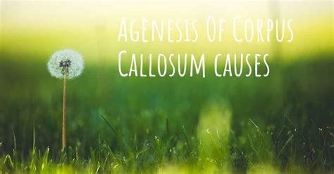 Which are the causes of Agenesis Of Corpus Callosum?