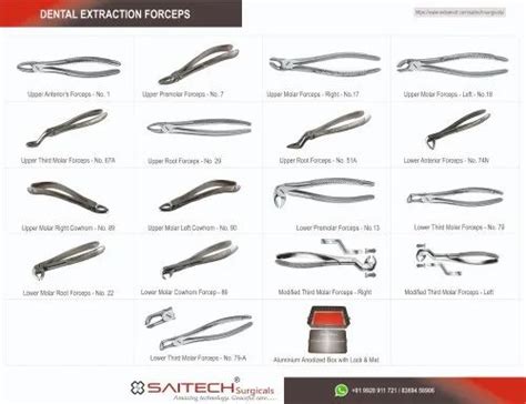 Types Of Dental Forceps And Their Uses - Infoupdate.org