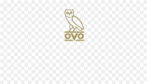 Vcs Owl, Owl Logo, Logos - Ovo Owl PNG - FlyClipart