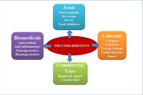 Phycobiliproteins and its potential commercial applications ...