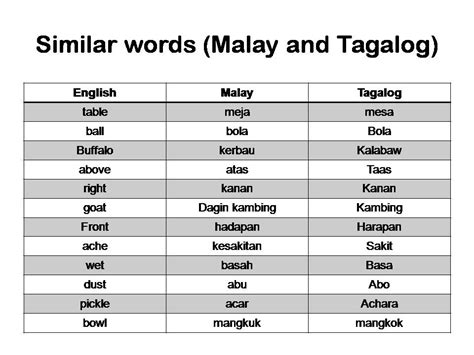 rain me thoughts.rain me words.: Language Similarities