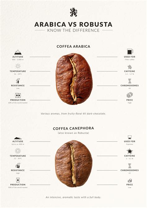 Arabica Vs Robusta Coffee Beans