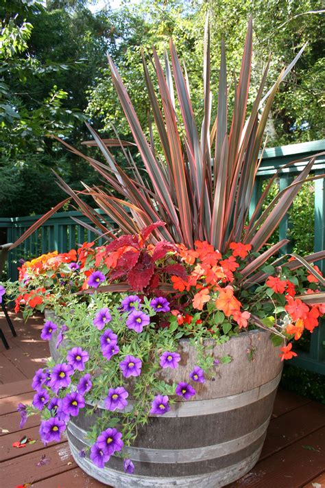 Fall Color Container Planting Idea ⋆ North Coast Gardening | Pot de fleurs, Jardinage en pots ...