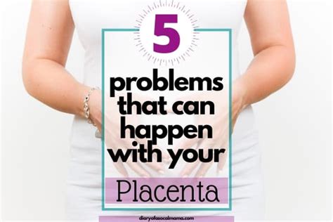 All About the Placenta {Everything you need to know} - Diary of a So ...