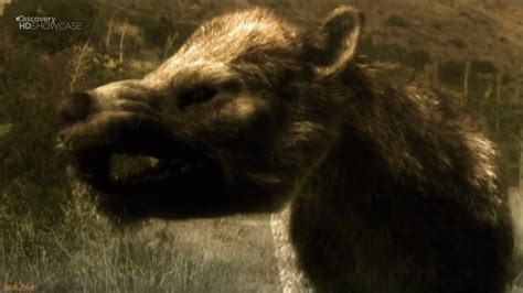 Bear-Dog - Prehistoric Monsters Wiki