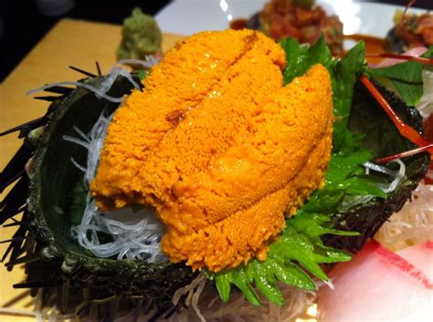 100+ ideas to try about Sea Urchin (Uni) Recipes | Restaurant, Scallops and Scrambled eggs