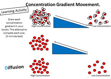 Découvrir 80+ imagen gradient de concentration formule - fr ...