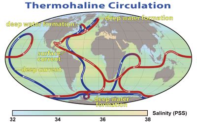 Ocean Upwelling | Definition, Occurrence & Zones - Video & Lesson ...