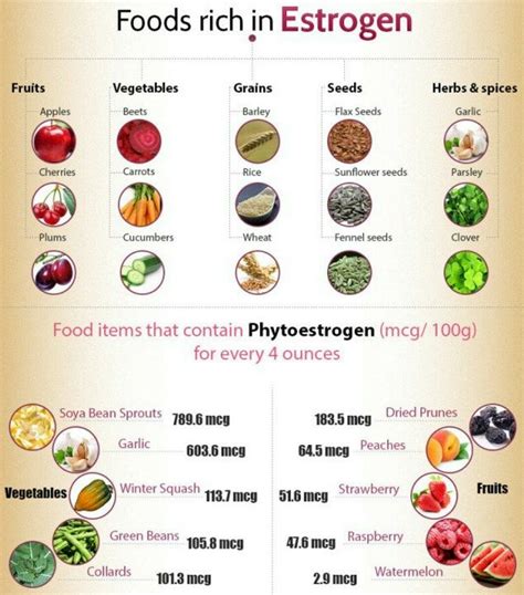 What Vegetables Are High In Estrogen - Best Vegetable In The World