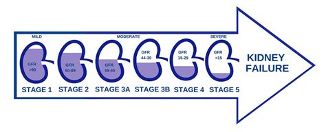 Stages Of Kidney Disease Chart