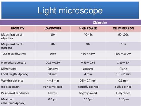 Compound Light Microscope Magnification Calculation | Shelly Lighting