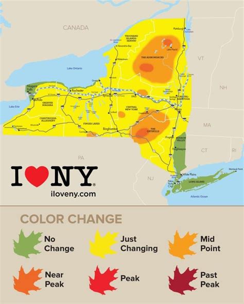 Fall Foliage Nearing Peak in Higher Elevations - Adirondack Explorer