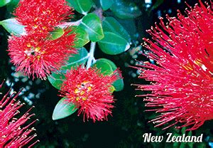 Pohutukawa Tree - The 3D Factory