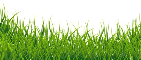 Grass Vector PNG Image - PurePNG | Free transparent CC0 PNG Image Library