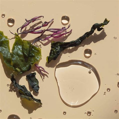 Seaweed for Skin: The Complete Guide