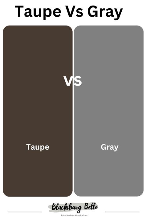 Taupe Vs Gray Paint Colors: What are the Differences?