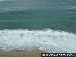 Waves GIF - Find & Share on GIPHY