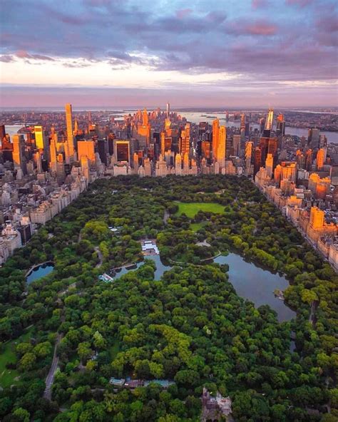 Central Park at dusk [1080 x 1350] | New york city travel, New york life, City aesthetic