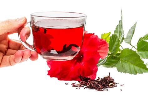 Lower Your Blood Pressure with Hibiscus Tea | 1mhealthtips.com