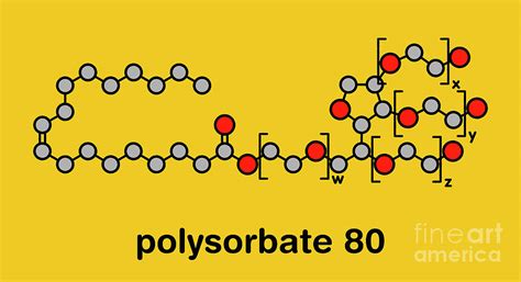 Polysorbate 80 Surfactant Molecule Photograph by Molekuul/science Photo ...