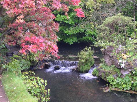 File:Waterfall, Japanese garden.JPG - Wikipedia