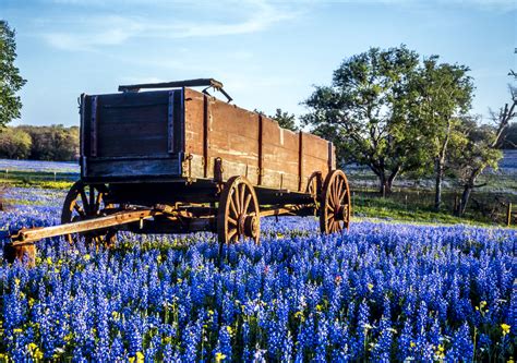 Texas Ranching Vacations | Texas Hill Country | Texas Ranches