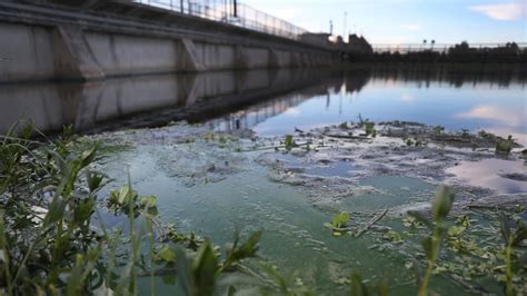 Deadly Brain-Eating Amoeba Confirmed in Florida