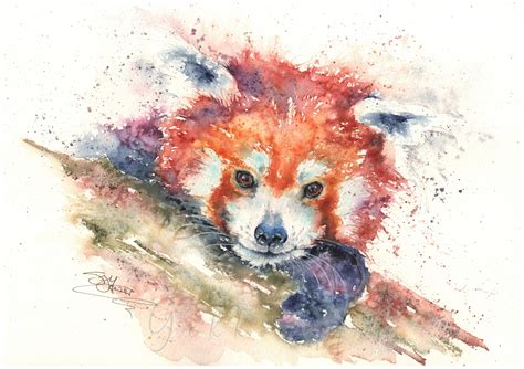 Red Panda Watercolour Print | Wildlife Artist Sandi Mower | Gekko Art