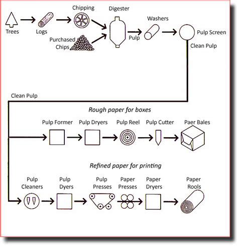 Pulp and paper making process - IELTS Adviser