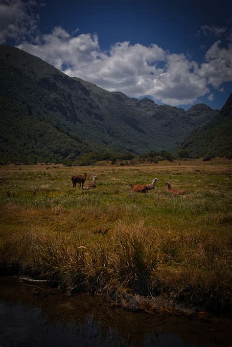 Cuenca National Park Cajas - Free photo on Pixabay - Pixabay