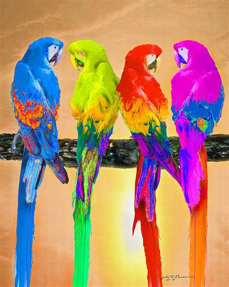 Rainbow of Parrots | Parrots art, Parrot painting, Bird art