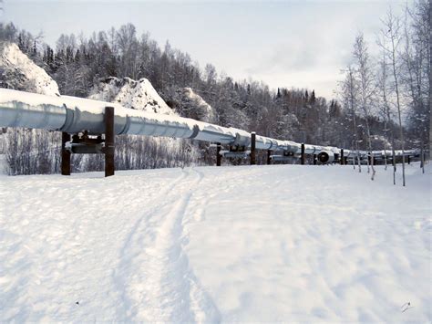 Alaska Oil Pipeline | Just north of Fairbanks | Malcolm Manners | Flickr