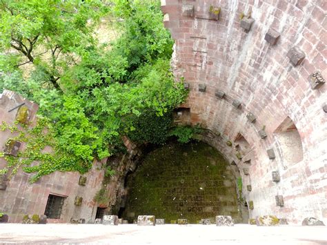 Heidelberg Castle | Nik is Lost