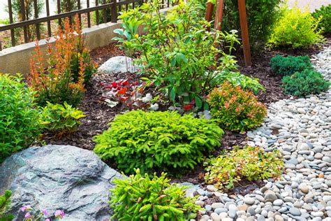 Rock Mulch vs. Wood Mulch For Flower Beds | Kellogg Garden Organics™