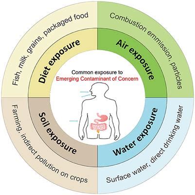 Frontiers | Adverse health effects of emerging contaminants on ...