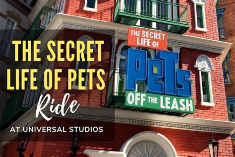 Secret Life of Pets Ride at Universal Studios