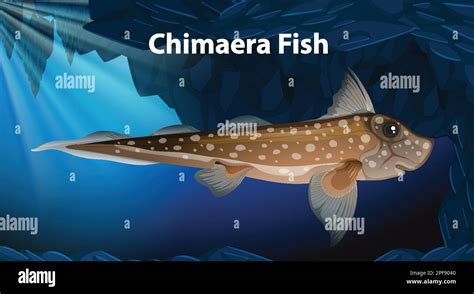 Chimaera Fish Vector Design illustration Stock Vector Image & Art - Alamy