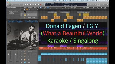 Donald Fagen IGY Karaoke / Sing-along - YouTube