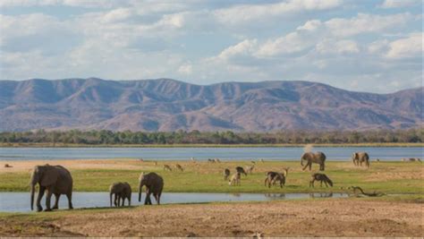 Manas National Park in Hindi - Manas Wildlife Sanctuary - Digitali India