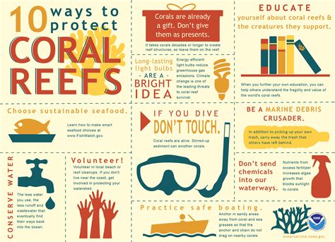What can I do to protect coral reefs?