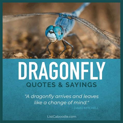 75+ Dragonfly Quotes, Sayings (Symbolism & Meaning)