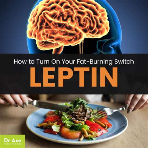 Leptin: How to Turn On This Fat-Burning Hormone - Dr. Axe