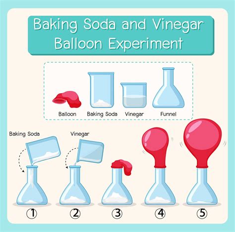 Science experiment with baking soda and vinegar balloon 1609876 Vector Art at Vecteezy