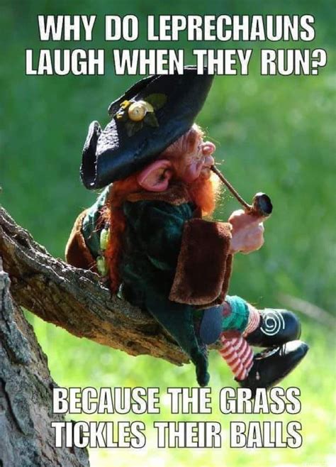 B a leprechaun 😄😄 Funny Adult Memes, Funny Jokes For Adults, Sarcastic ...