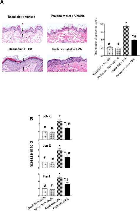 Detection of cell proliferation markers contributing to skin ...