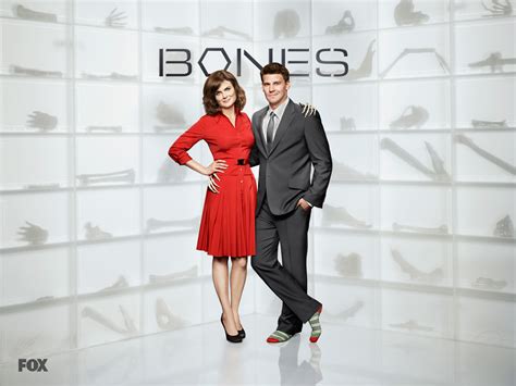 bones, temperance brennan, seeley booth Wallpaper, HD TV Series 4K ...