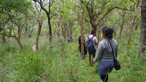 Sathyamangalam Tiger Reserve and Germalam Trek