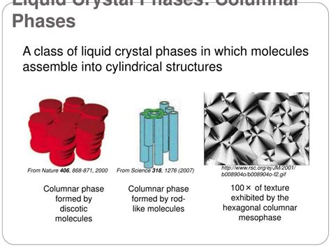 PPT - Liquid Crystal Phases of DNA and Implications for The Origin of ...